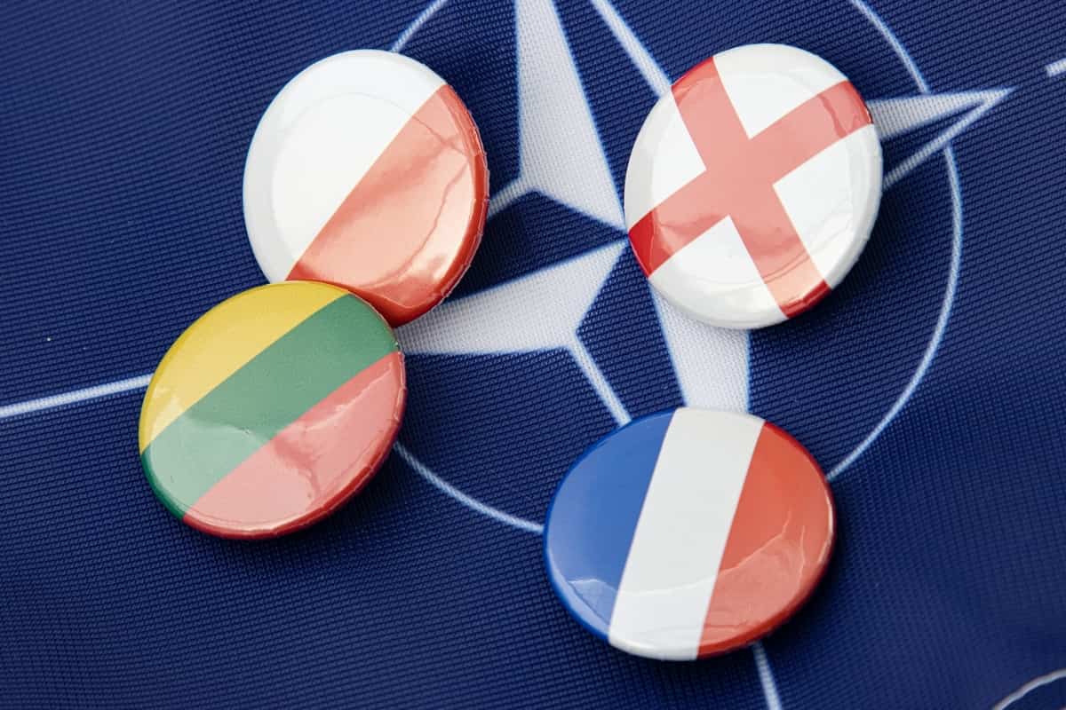 NATO and flag pins