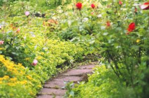 The Hottest Gardening Trends for Summer 2022